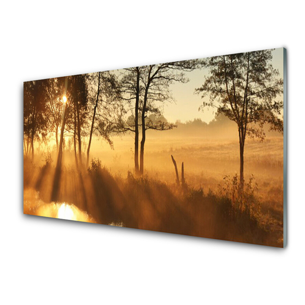 Pintura em vidro Árvores Natureza