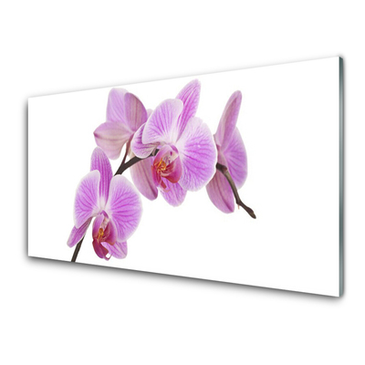 Quadro de vidro Flores Planta Natureza
