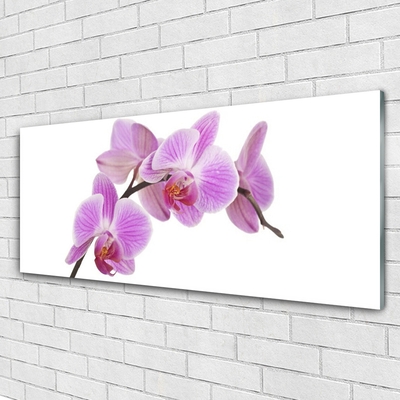 Quadro de vidro Flores Planta Natureza