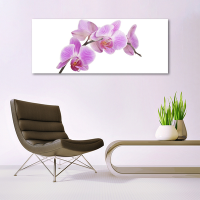 Quadro de vidro Flores Planta Natureza