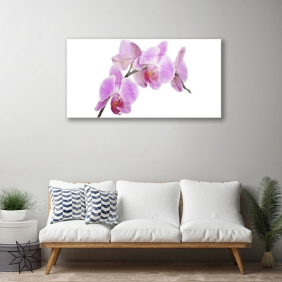 Quadro de vidro Flores Planta Natureza