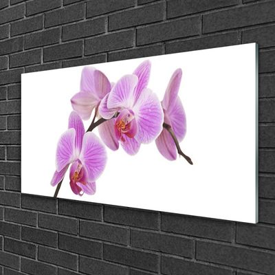Quadro de vidro Flores Planta Natureza
