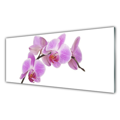Quadro de vidro Flores Planta Natureza
