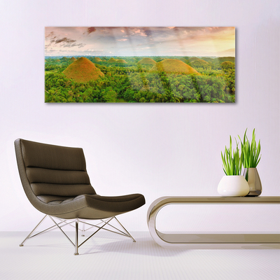 Quadro de vidro Floresta Selva Natureza
