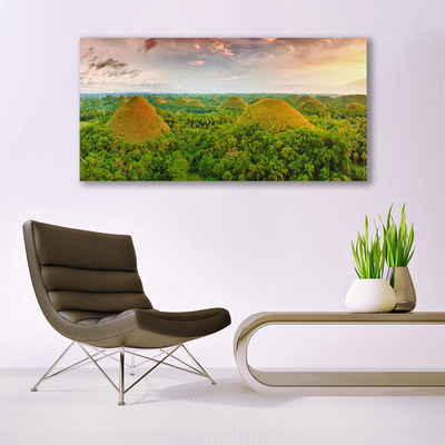 Quadro de vidro Floresta Selva Natureza
