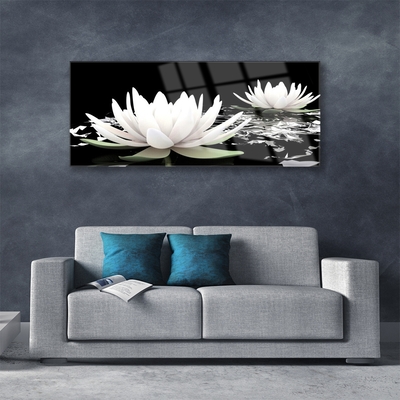 Quadro de vidro Flores Planta Natureza