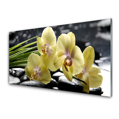 Quadro de vidro Flores Planta Natureza