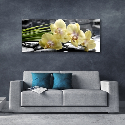 Quadro de vidro Flores Planta Natureza