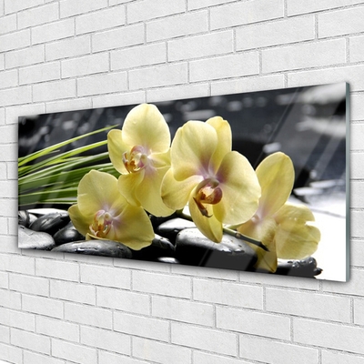 Quadro de vidro Flores Planta Natureza
