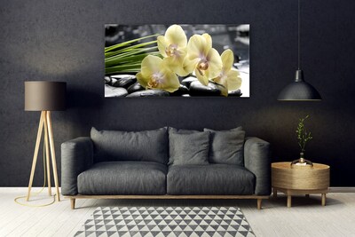Quadro de vidro Flores Planta Natureza