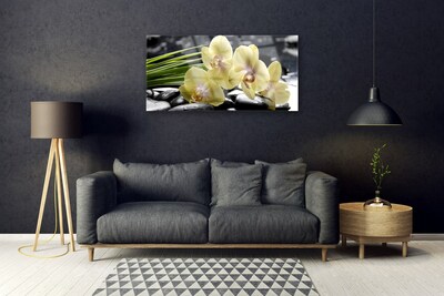 Quadro de vidro Flores Planta Natureza