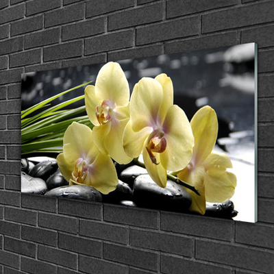 Quadro de vidro Flores Planta Natureza