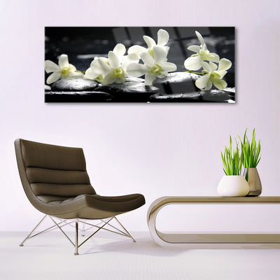 Quadro de vidro Planta de pedras de flores