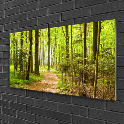 Pintura em vidro Trilha da Natureza da Floresta