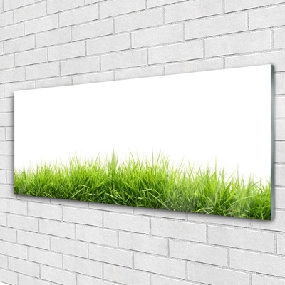 Quadro de vidro Grama Natureza Planta