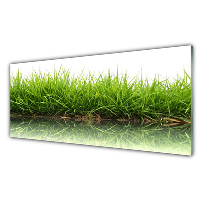 Pintura em vidro Grama Água Natureza Planta