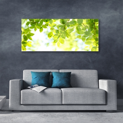 Quadro de vidro Folhas Natureza Planta