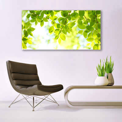 Quadro de vidro Folhas Natureza Planta