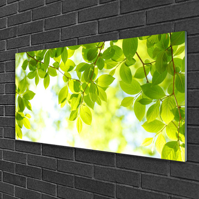 Quadro de vidro Folhas Natureza Planta