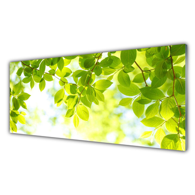 Quadro de vidro Folhas Natureza Planta