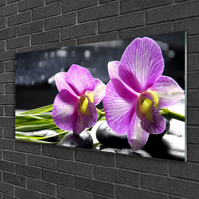 Pintura em vidro Flores Planta Natureza