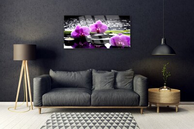 Quadro de vidro Planta de orquídea flor