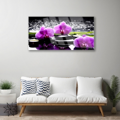 Quadro de vidro Planta de orquídea flor