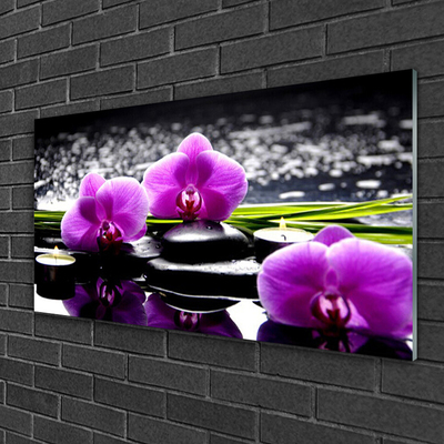 Quadro de vidro Planta de orquídea flor