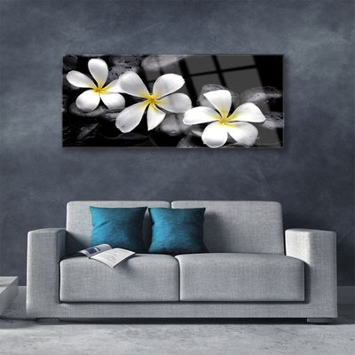 Pintura em vidro Planta de flor de plumeria