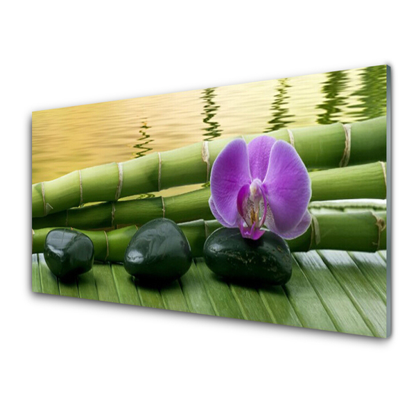 Pintura em vidro Pedras de flores Bambu Natureza
