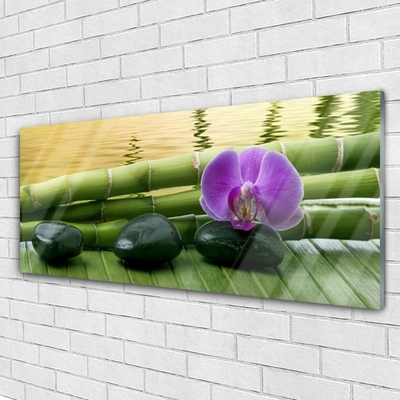 Pintura em vidro Pedras de flores Bambu Natureza
