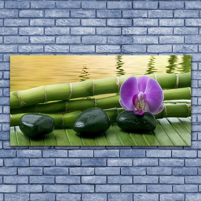 Pintura em vidro Pedras de flores Bambu Natureza