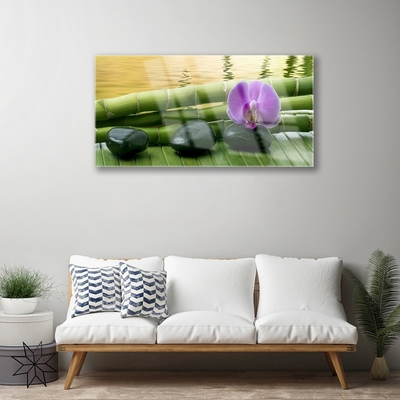 Pintura em vidro Pedras de flores Bambu Natureza
