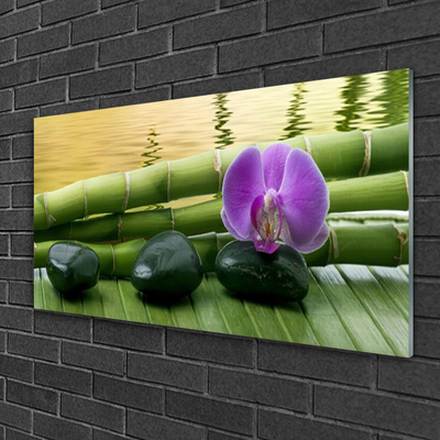 Pintura em vidro Pedras de flores Bambu Natureza