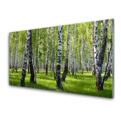 Quadro de vidro Árvores da Floresta Natureza