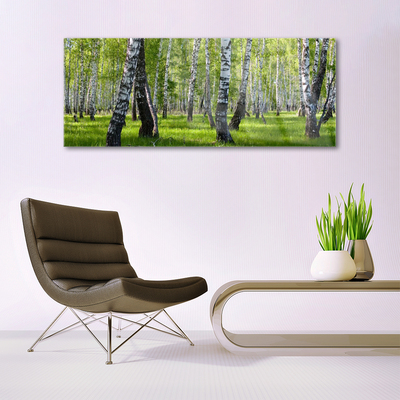 Quadro de vidro Árvores da Floresta Natureza