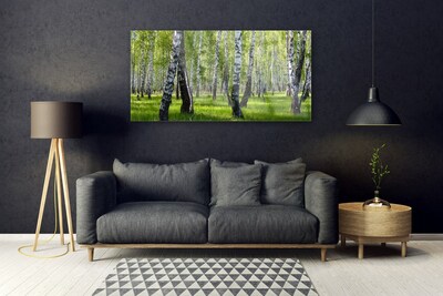 Quadro de vidro Árvores da Floresta Natureza