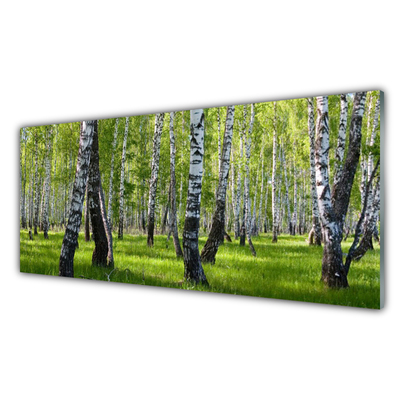 Quadro de vidro Árvores da Floresta Natureza