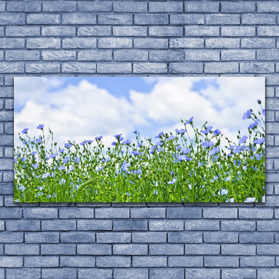 Quadro de vidro Flores Planta Natureza