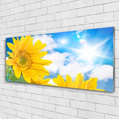 Quadro de vidro Flores Planta Natureza