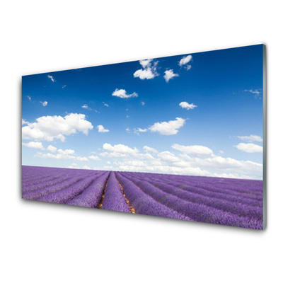 Quadro de vidro Flores do Prado Natureza Planta