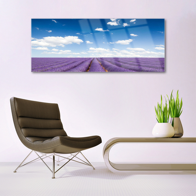 Quadro de vidro Flores do Prado Natureza Planta