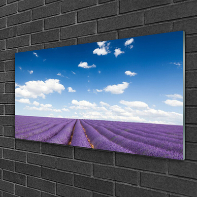 Quadro de vidro Flores do Prado Natureza Planta