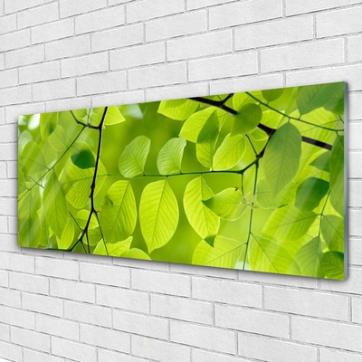 Quadro de vidro Folhas Natureza Planta