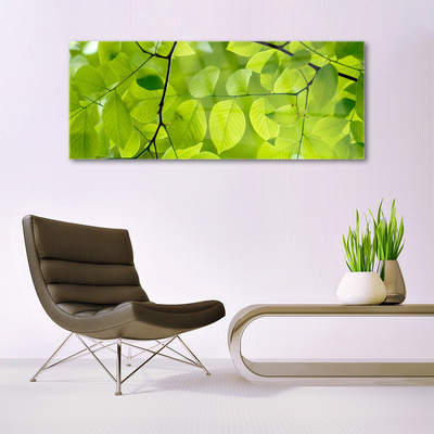 Quadro de vidro Folhas Natureza Planta
