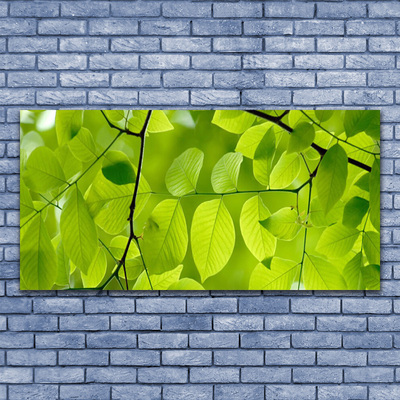 Quadro de vidro Folhas Natureza Planta