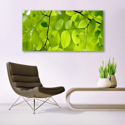 Quadro de vidro Folhas Natureza Planta