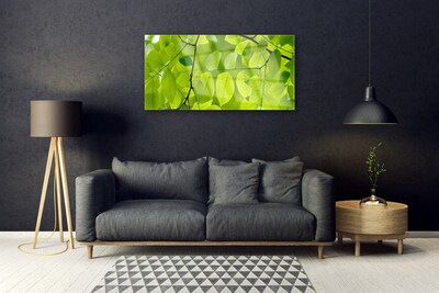 Quadro de vidro Folhas Natureza Planta