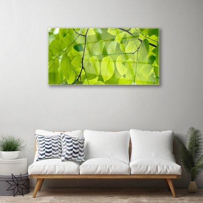 Quadro de vidro Folhas Natureza Planta