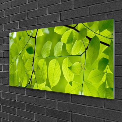 Quadro de vidro Folhas Natureza Planta
